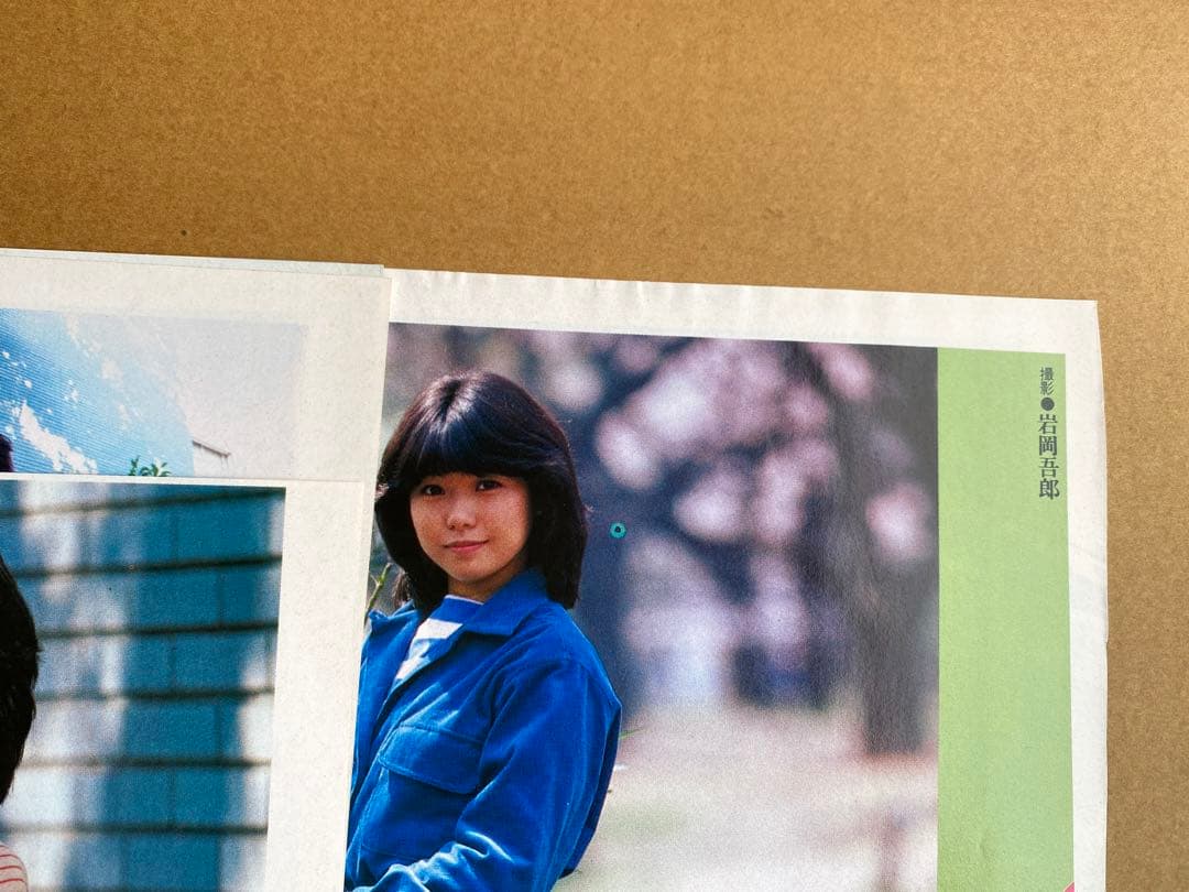 沢田聖子沢田聖子 切り抜き８枚 ピンナップ２枚
