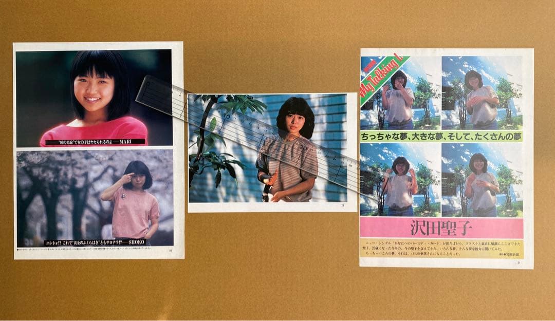 沢田聖子沢田聖子 切り抜き８枚 ピンナップ２枚