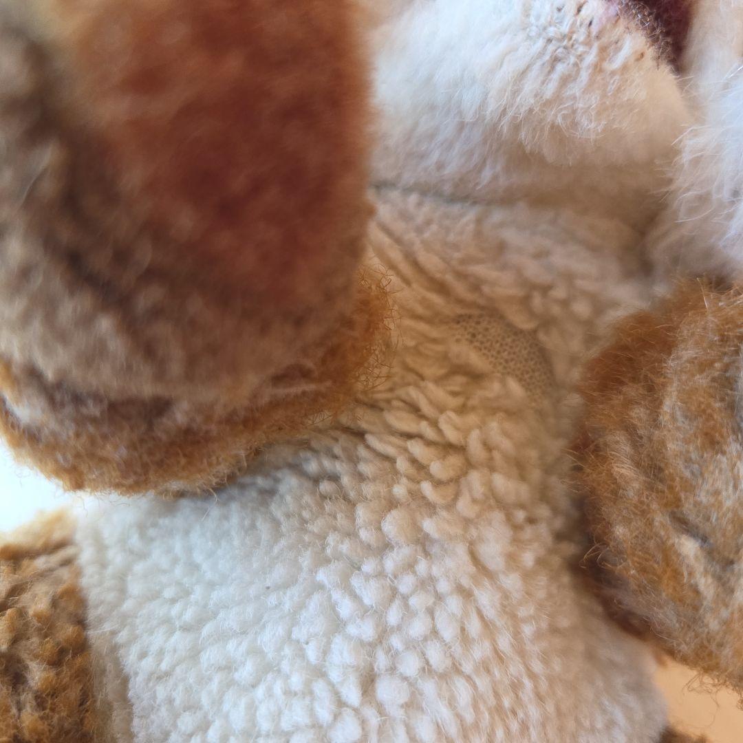 レア　SDH 北海道 キタキツネぬいぐるみ