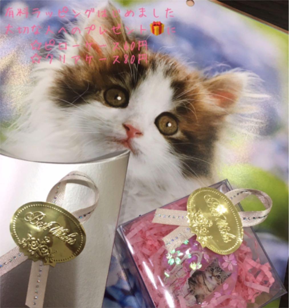 レジンヘアゴム、新作・猫ちゃんと蝶大きめシェル