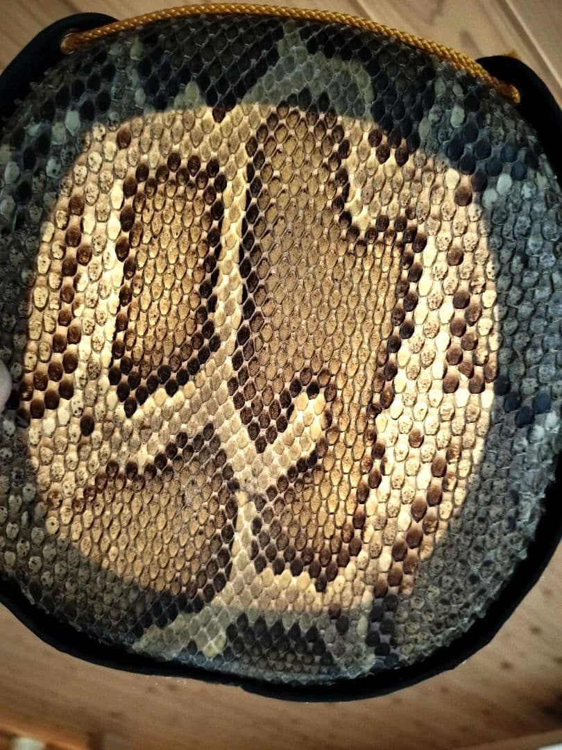 ビンテージ三線、本革1枚張り、真壁型、美音