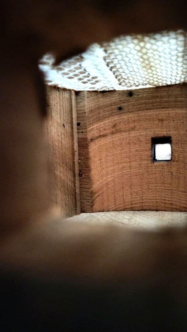 ビンテージ三線、本革1枚張り、真壁型、美音