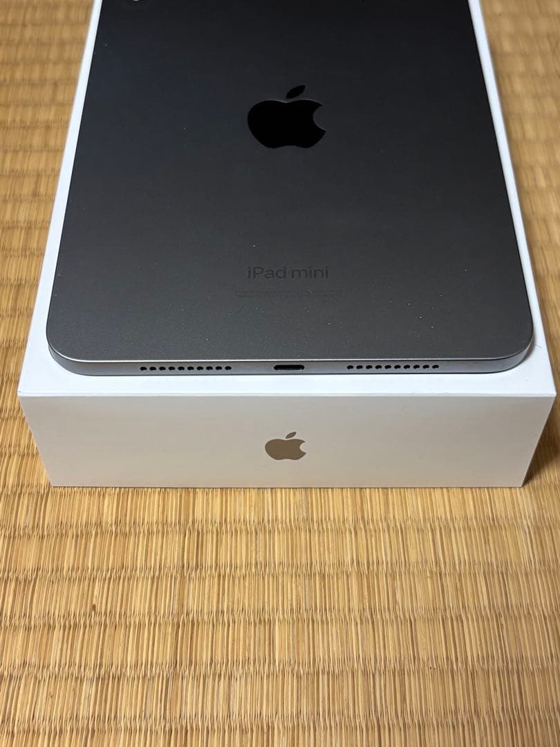 iPad mini (A17 Pro) 128GB スペースグレー周辺アクセ付属