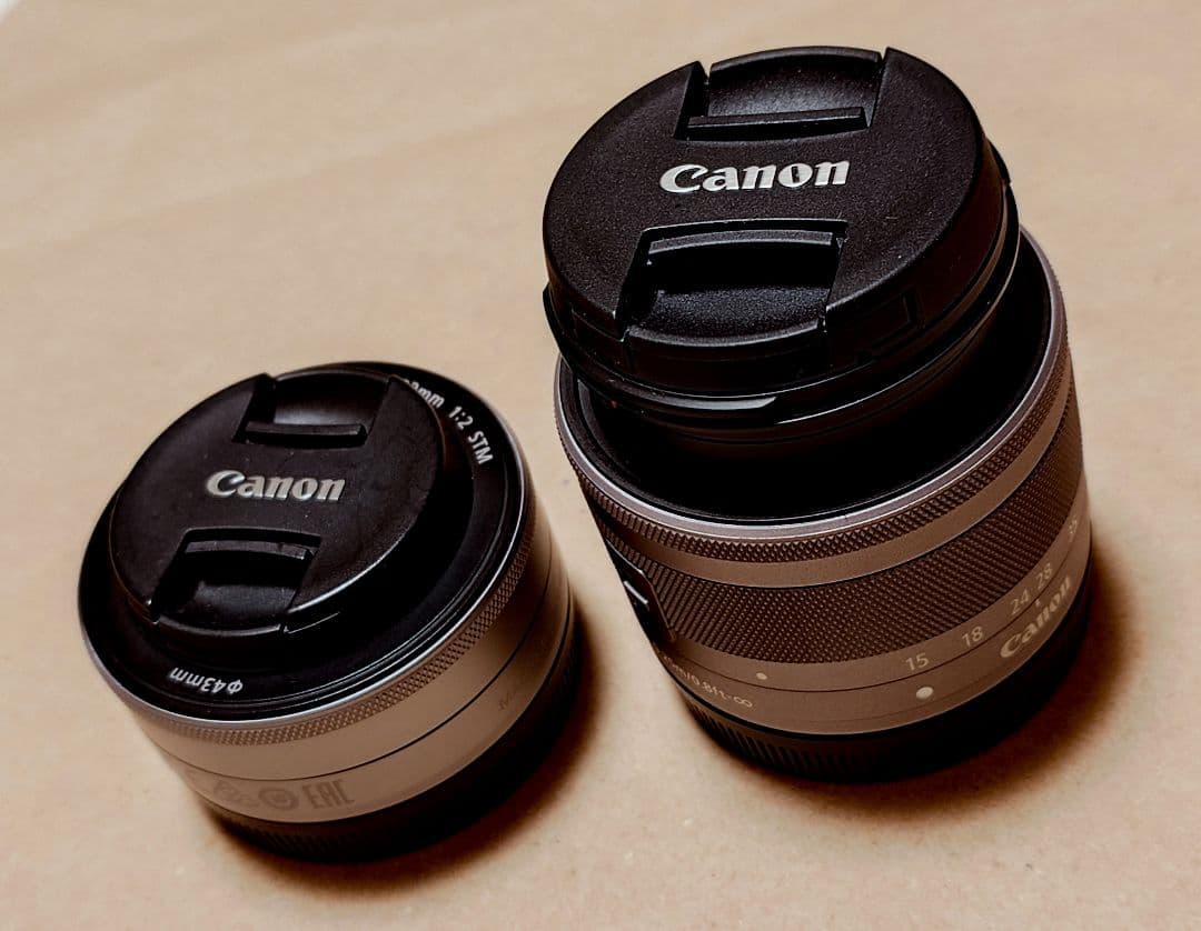 Canon ミラーレス一眼 EOS M100 ダブルレンズキット (グレー)
