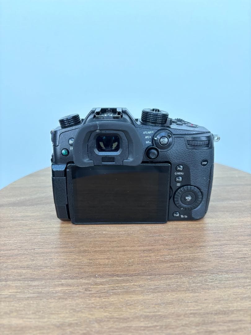 Panasonic LUMIX GH5ボディ DC-GH5