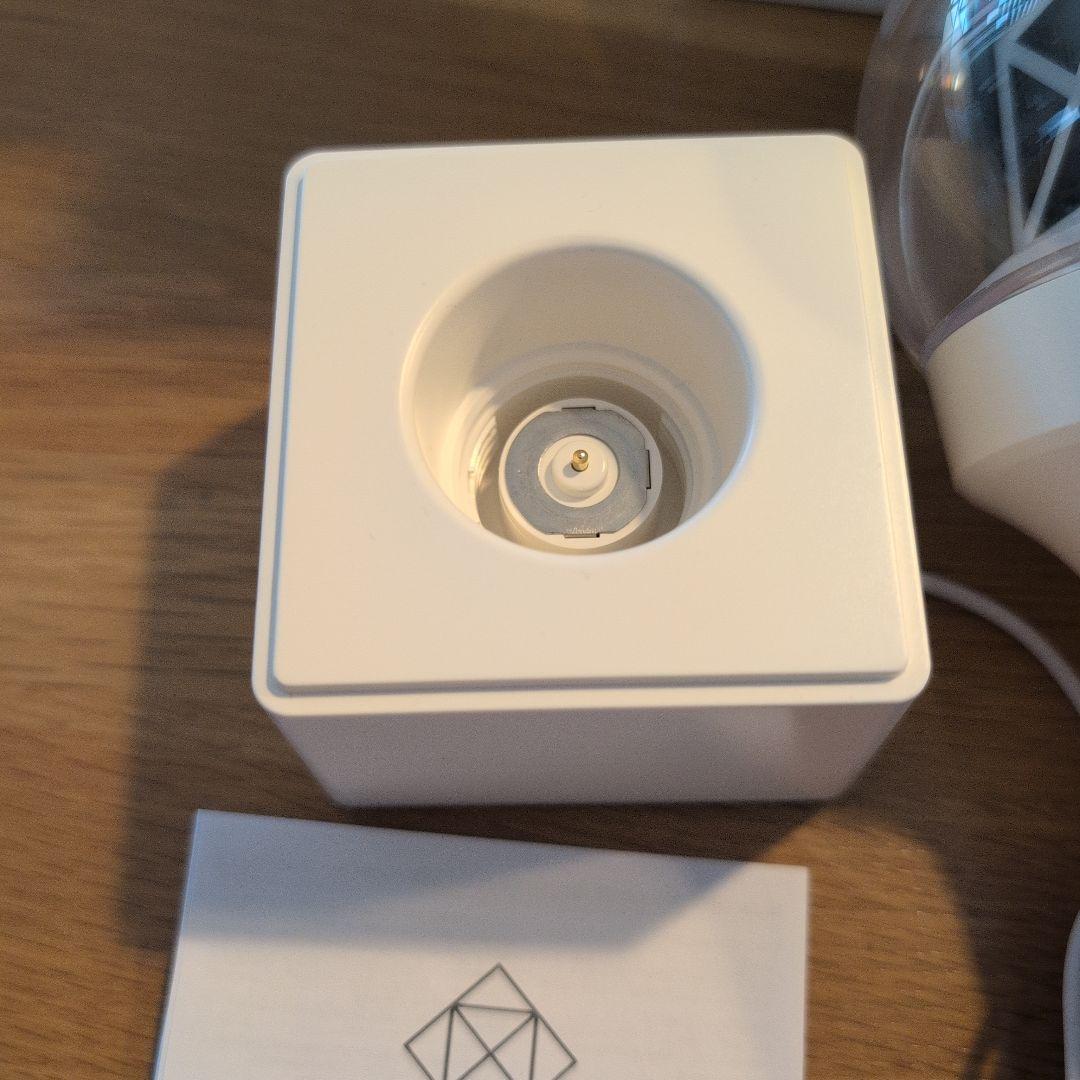 NIZIU ペンライト 2本セット