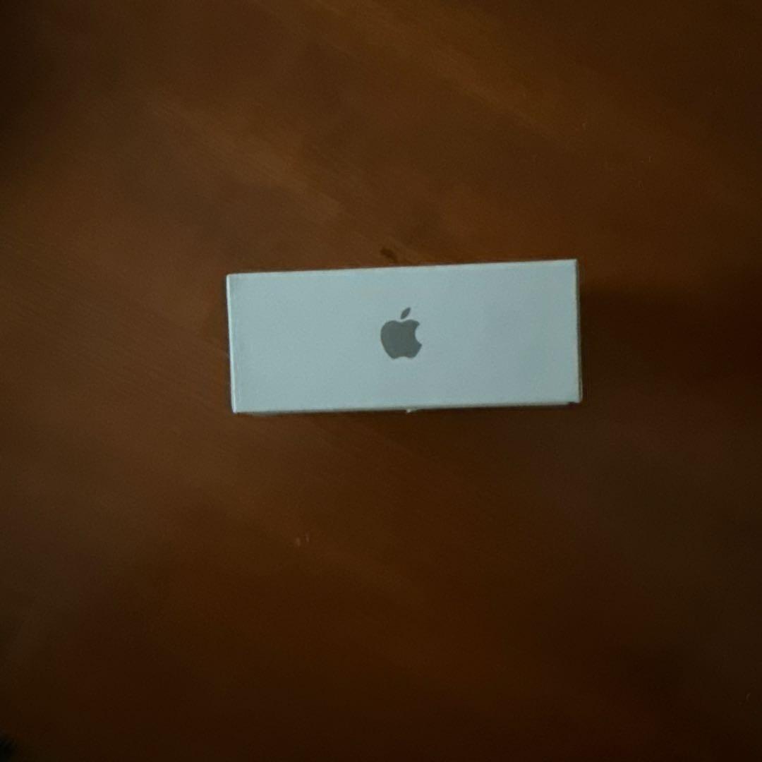 Apple AirPods 本体