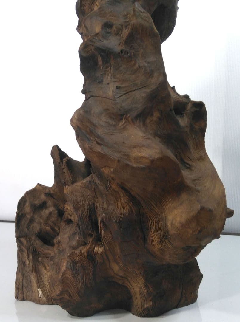 枯木 朽木 古木 流木 インテリア オブジェ 置物