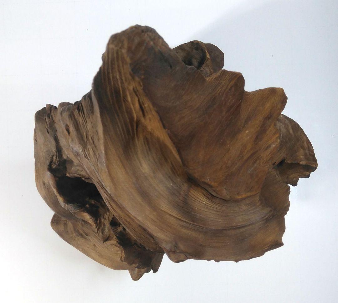 枯木 朽木 古木 流木 インテリア オブジェ 置物