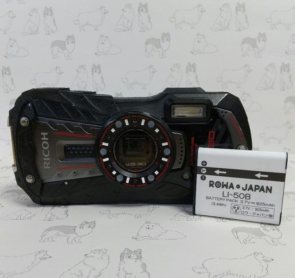 【RS56】RICOH WG-30 デジカメ 本体
