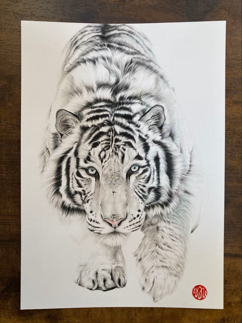 色鉛筆画 ホワイトタイガー