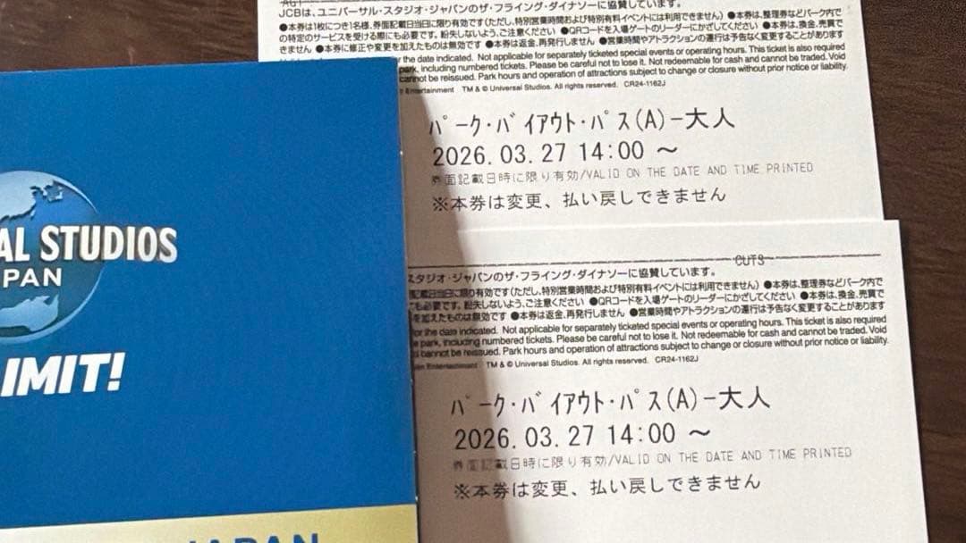 ユニバーサルスタジオジャパン 入場券 2枚セット