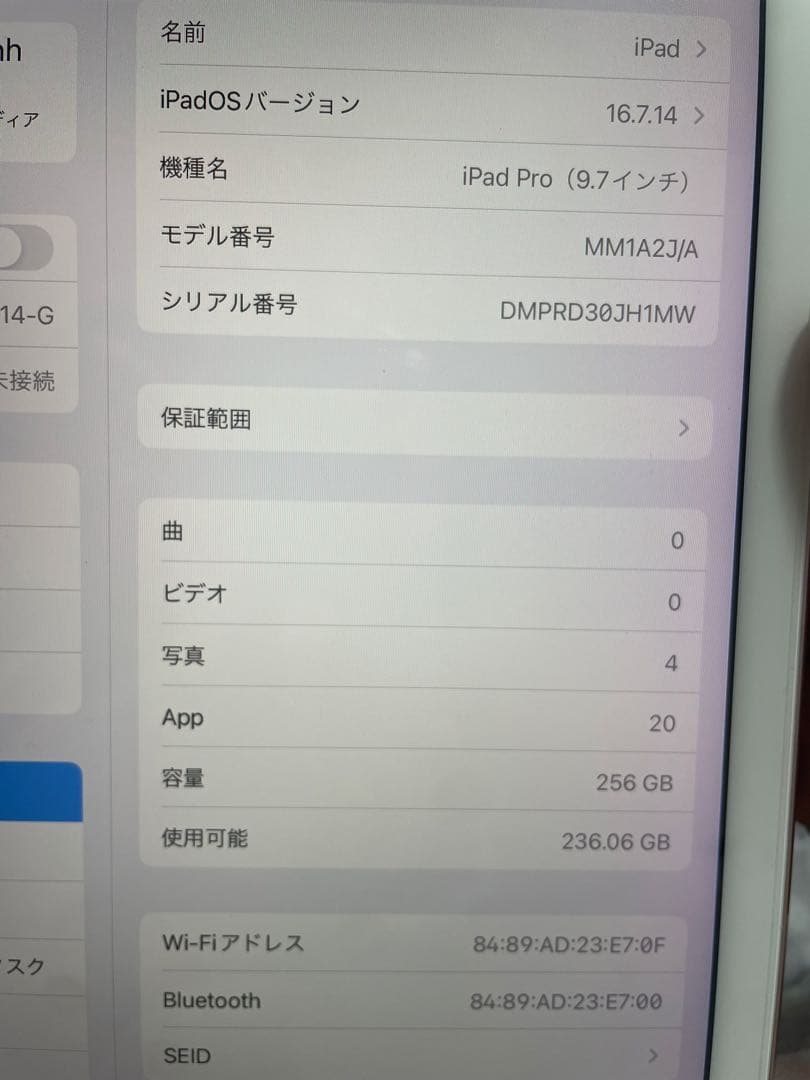 IPad Pro 9.7 インチ A1673 MM1A2JA 256GB