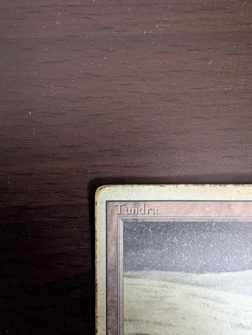 マジック：ザ・ギャザリング MTG Tundra HP