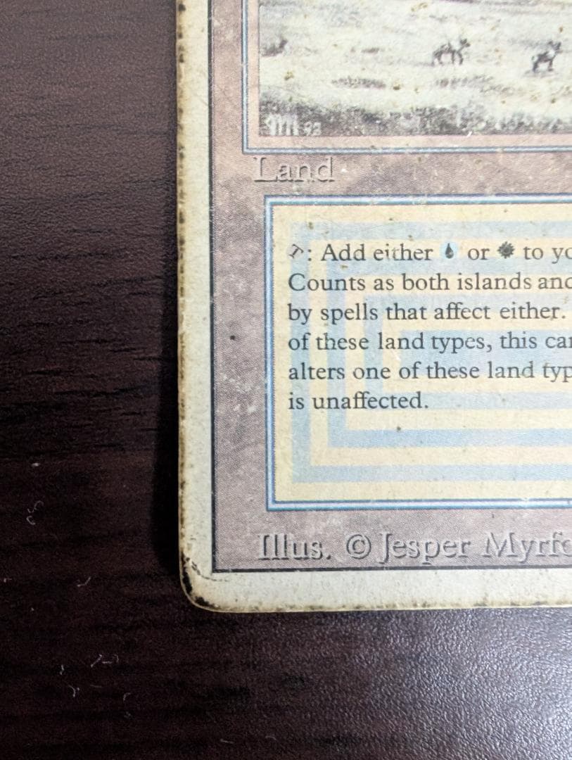 マジック：ザ・ギャザリング MTG Tundra HP