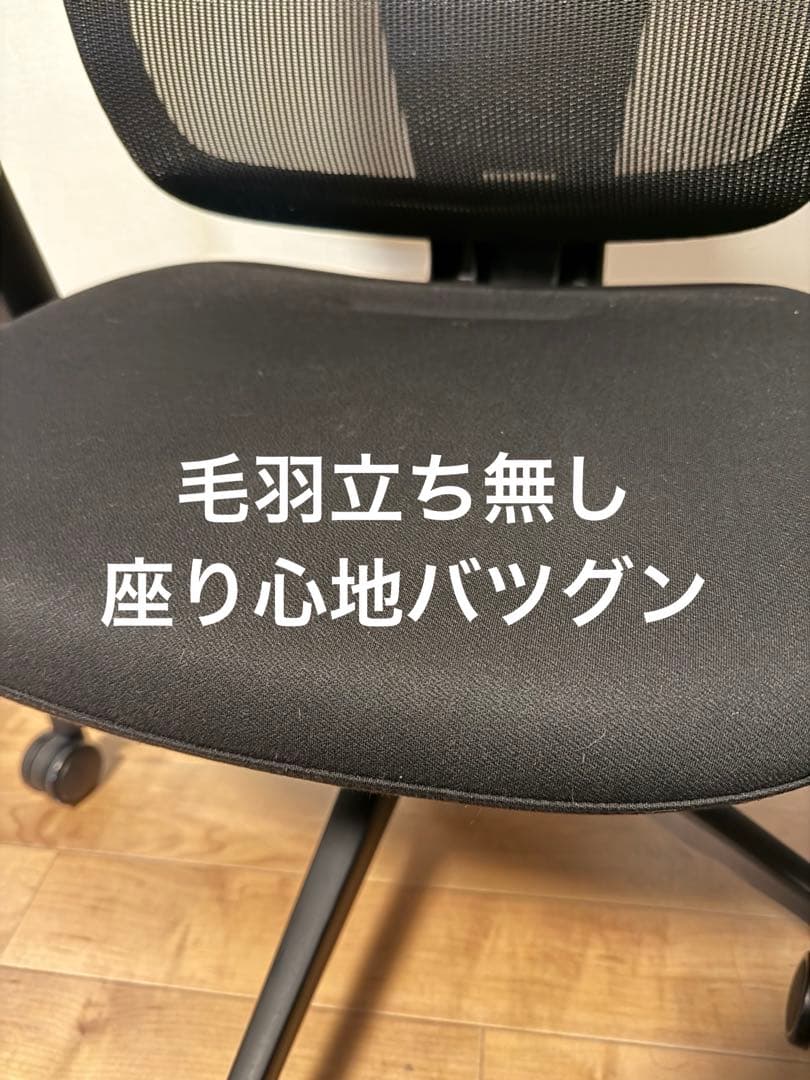 【美品】THE ERGORISM PRO 多機能ワークチェア