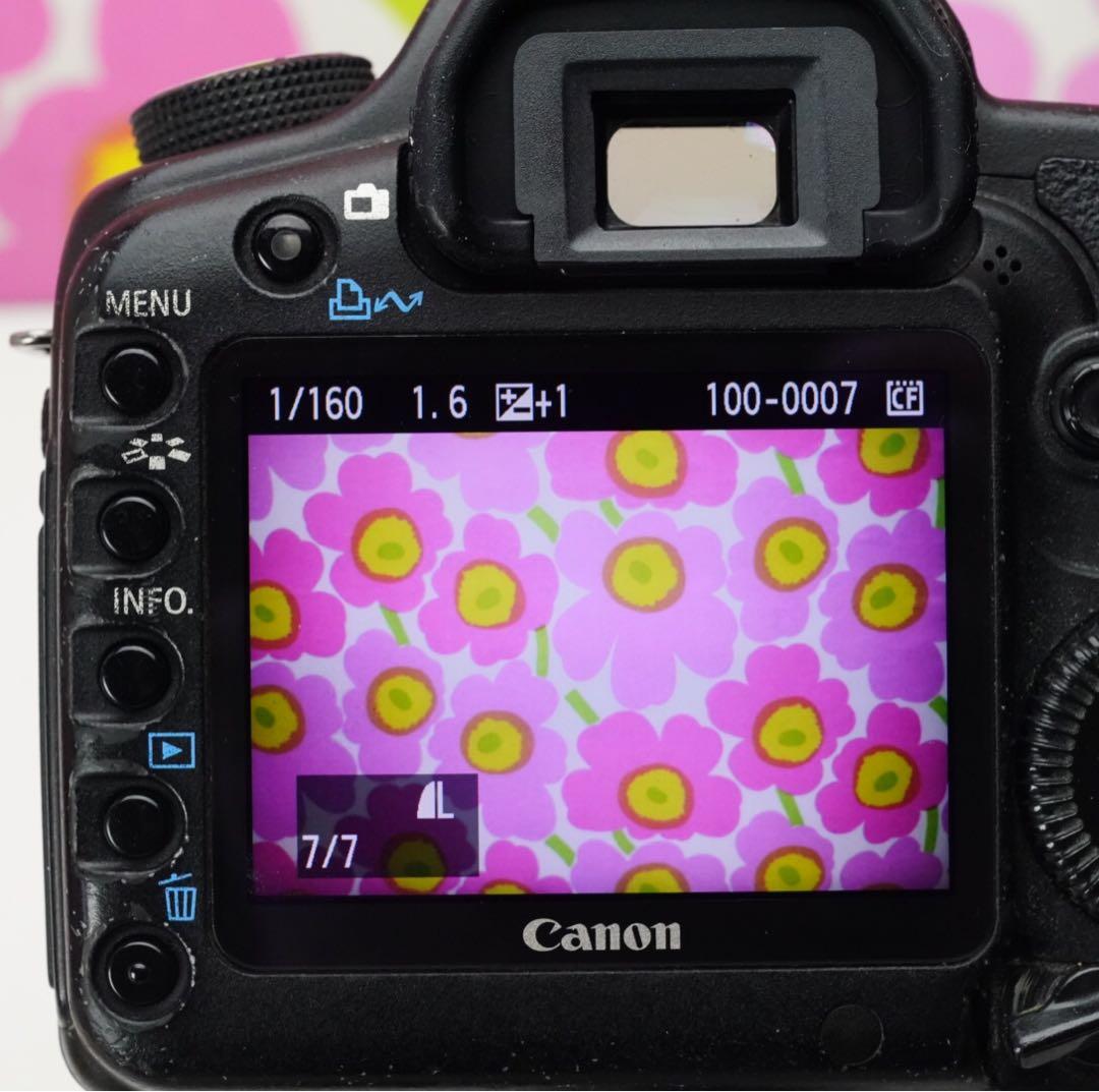 人物や作品撮りに❤️EOS 5DMarkII❤️Planar 50mm1.4付き