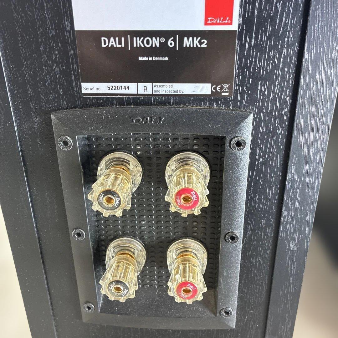 動作確認済みDALIトールボーイ型スピーカー「IKON 6 MK2」 ♣️0431