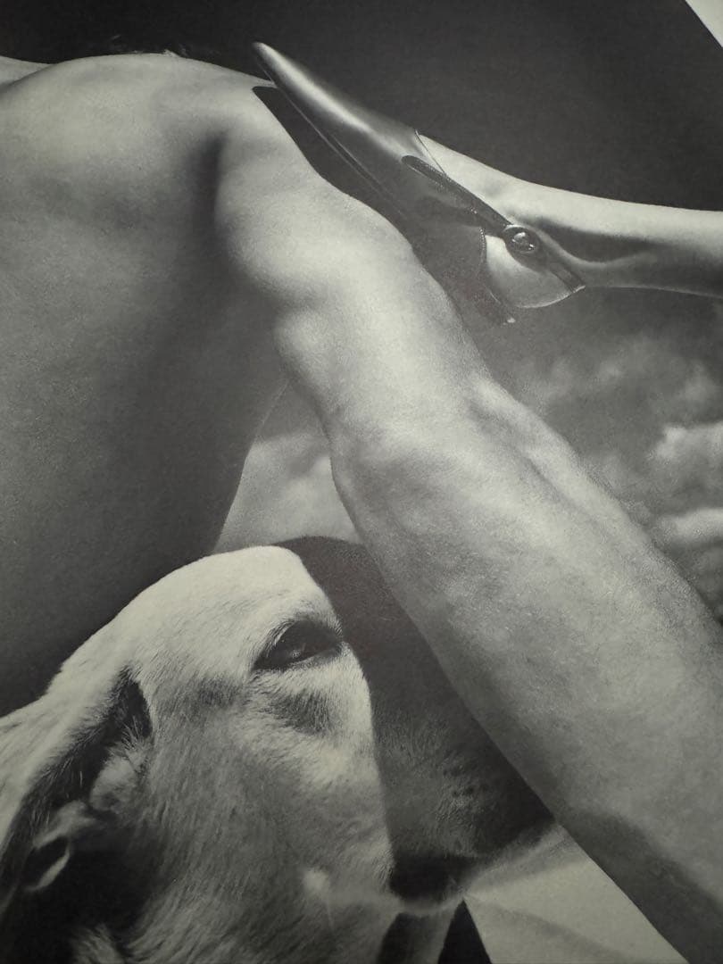 【当時物】1980s ブランド広告　大判両面印刷（50×70cm）