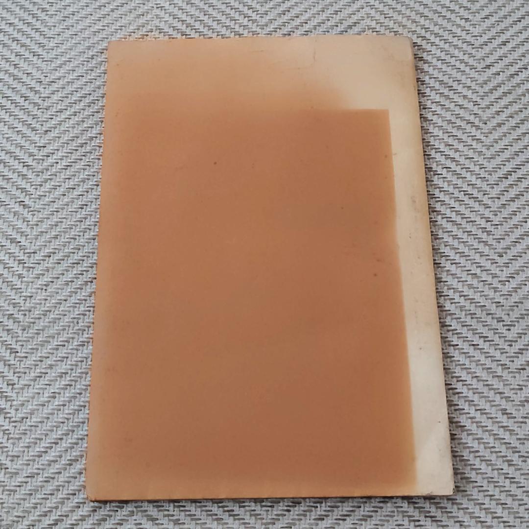 【当時物】 ノースフェイス 1982 秋/冬 カタログ 2枚組 現状品