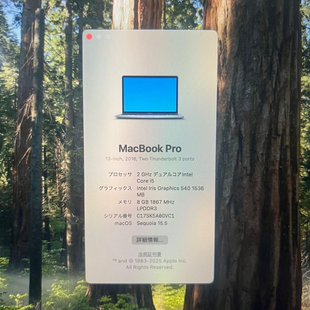 MacBook Pro 13インチ 2016 スペースグレイ Sequoia