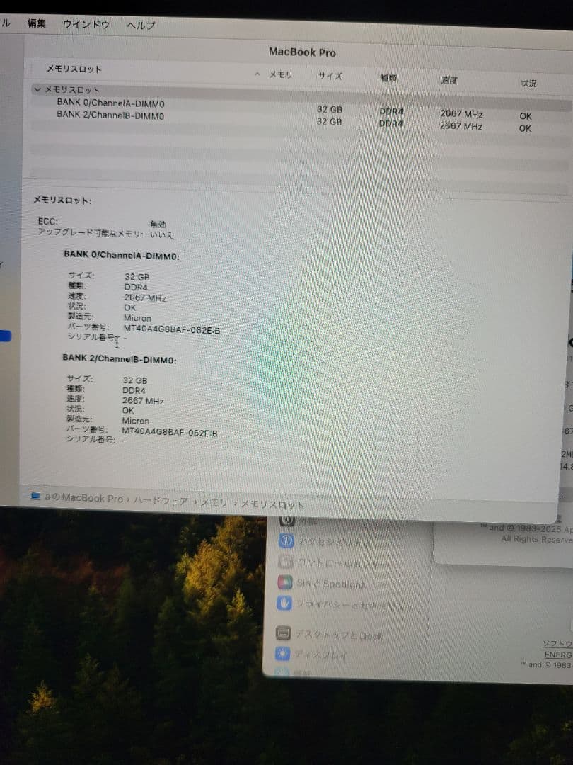 MacBook本体 Macbook Pro 2019 i9 64GB/2TB