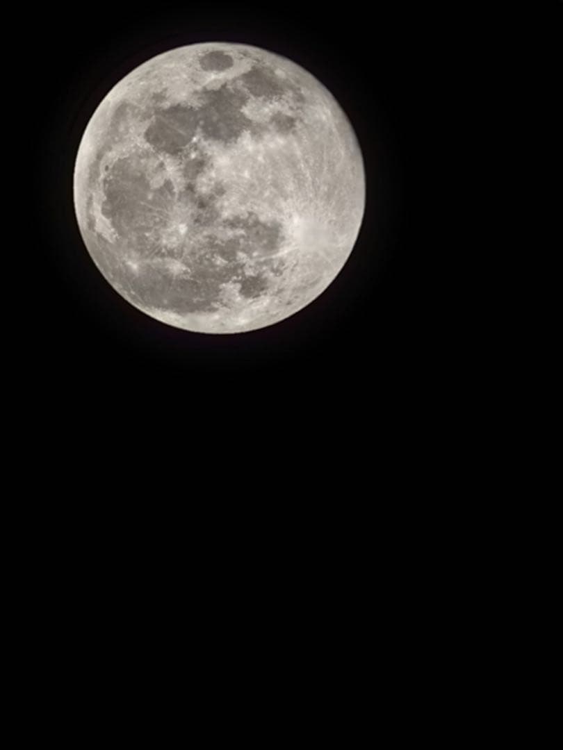 ⭐︎美品⭐︎Xiaomi 15T pro 256GB グレー