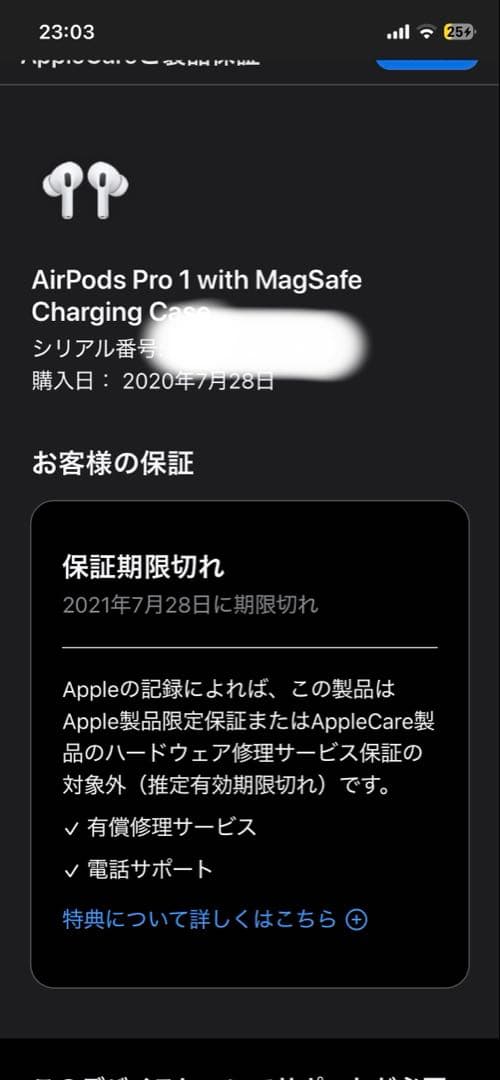 Apple AirPods pro 第1世代 充電ケース付き 正規品