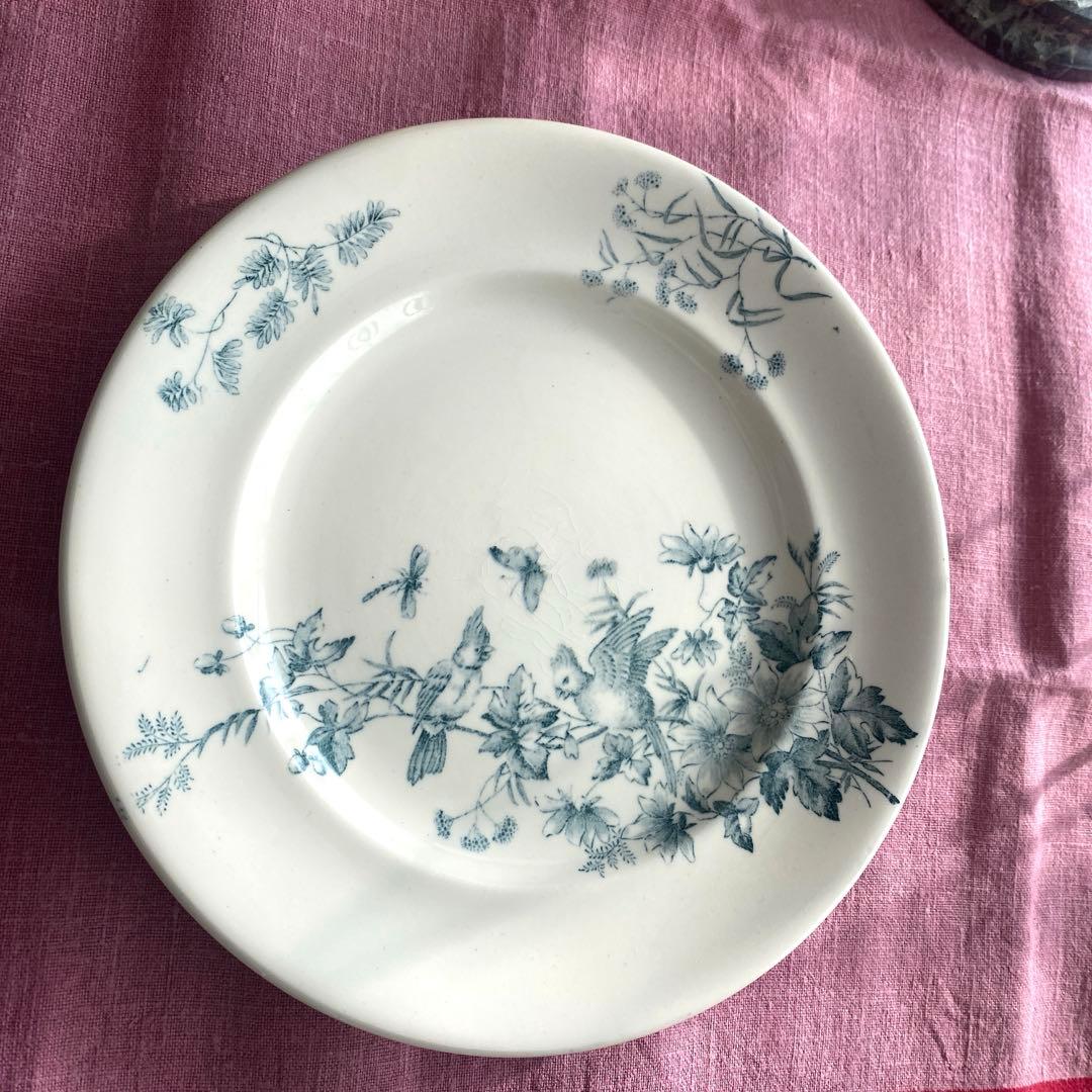 ロンウィ ミニョン Longwy mignon プレートツバメ　小鳥　鳥