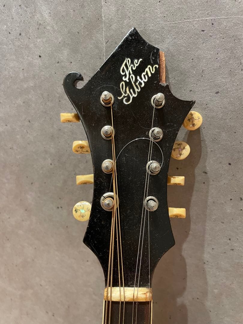 Gibson ヴィンテージ マンドリン F2 約100年前 USA ケース付