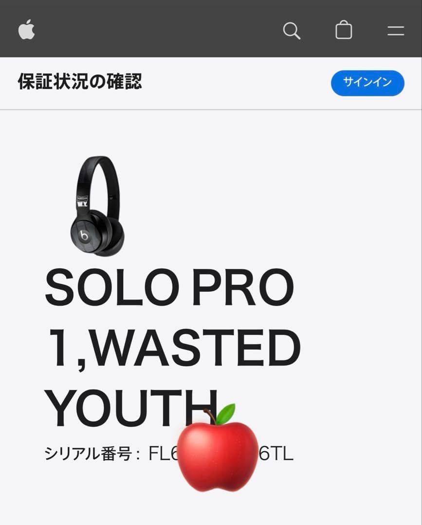 《希少》Beats×WASTED YOUTH コラボ ワイヤレスヘッドホン