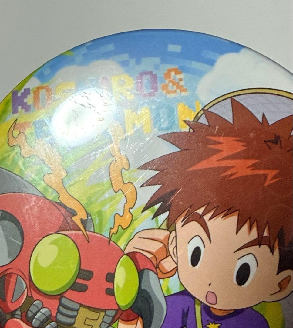 デジモン 泉光子郎 缶バッジ 2点