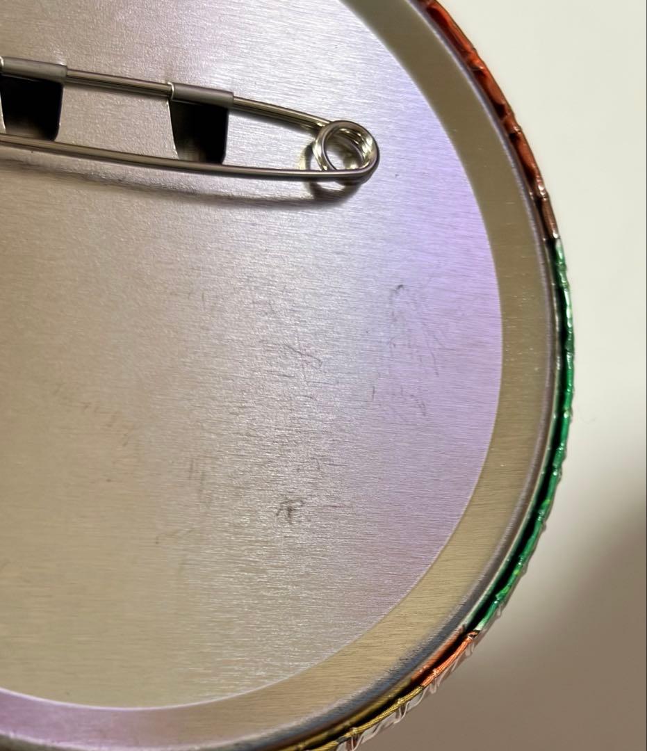 デジモン 泉光子郎 缶バッジ 2点