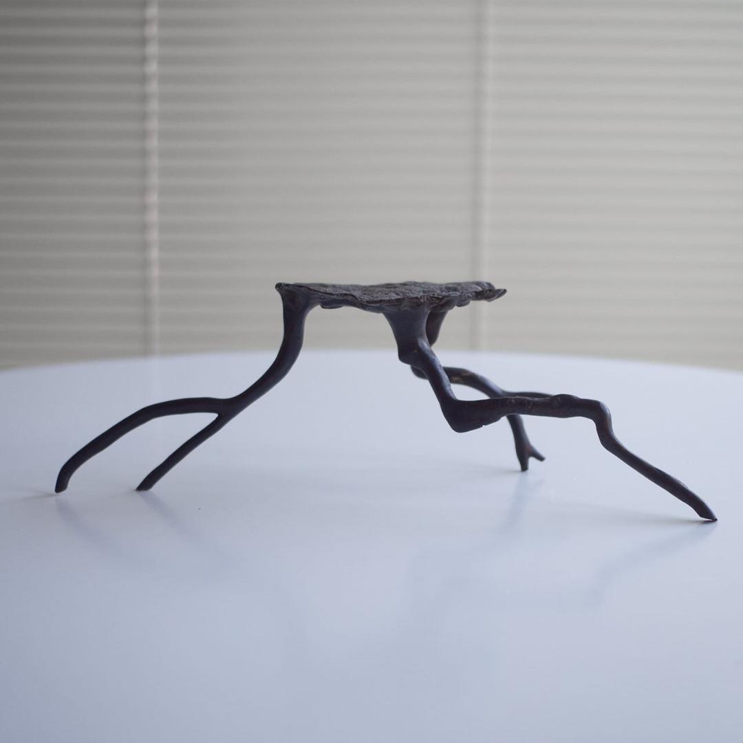 black coral / 黒珊瑚 置物 台