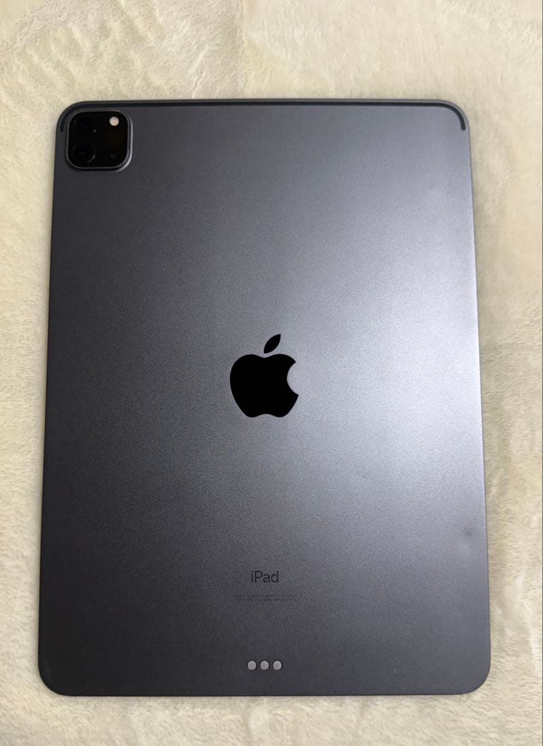 iPad Pro 11インチ　第二世代　256GB