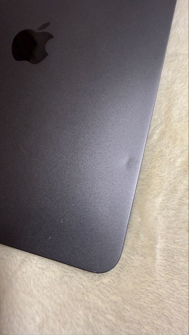 iPad Pro 11インチ　第二世代　256GB