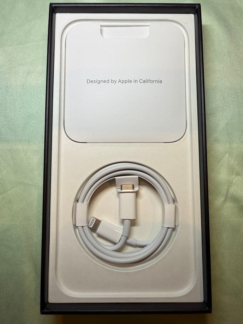 Apple iPhone 13 Pro Max シエラブルー　256GB