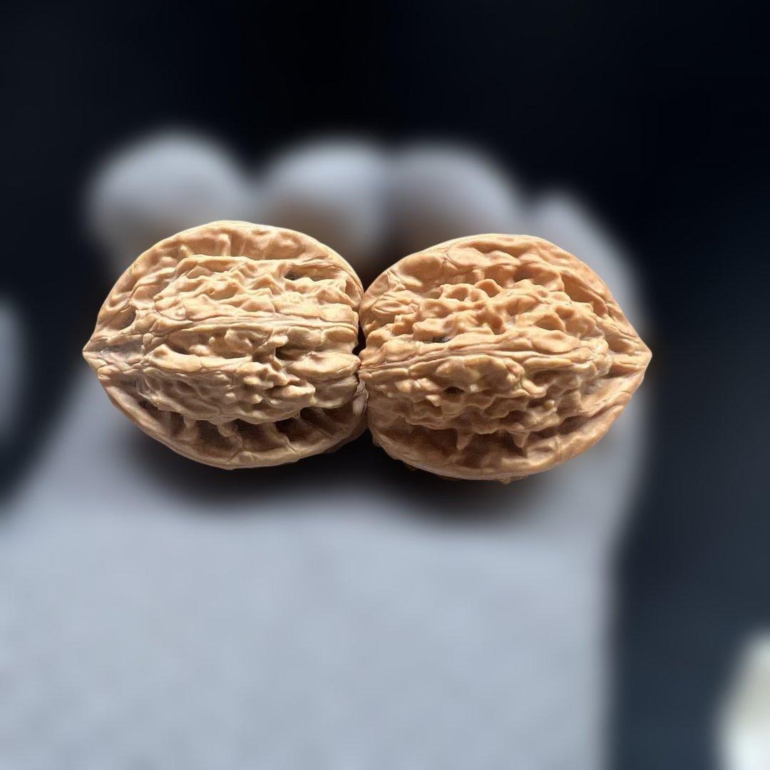 文玩堂：「文山三棱・正三角タイプ／文玩クルミ　※色ムラあり」