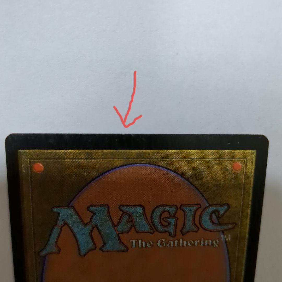 MTG 適者生存（２枚セット）　英語版２枚