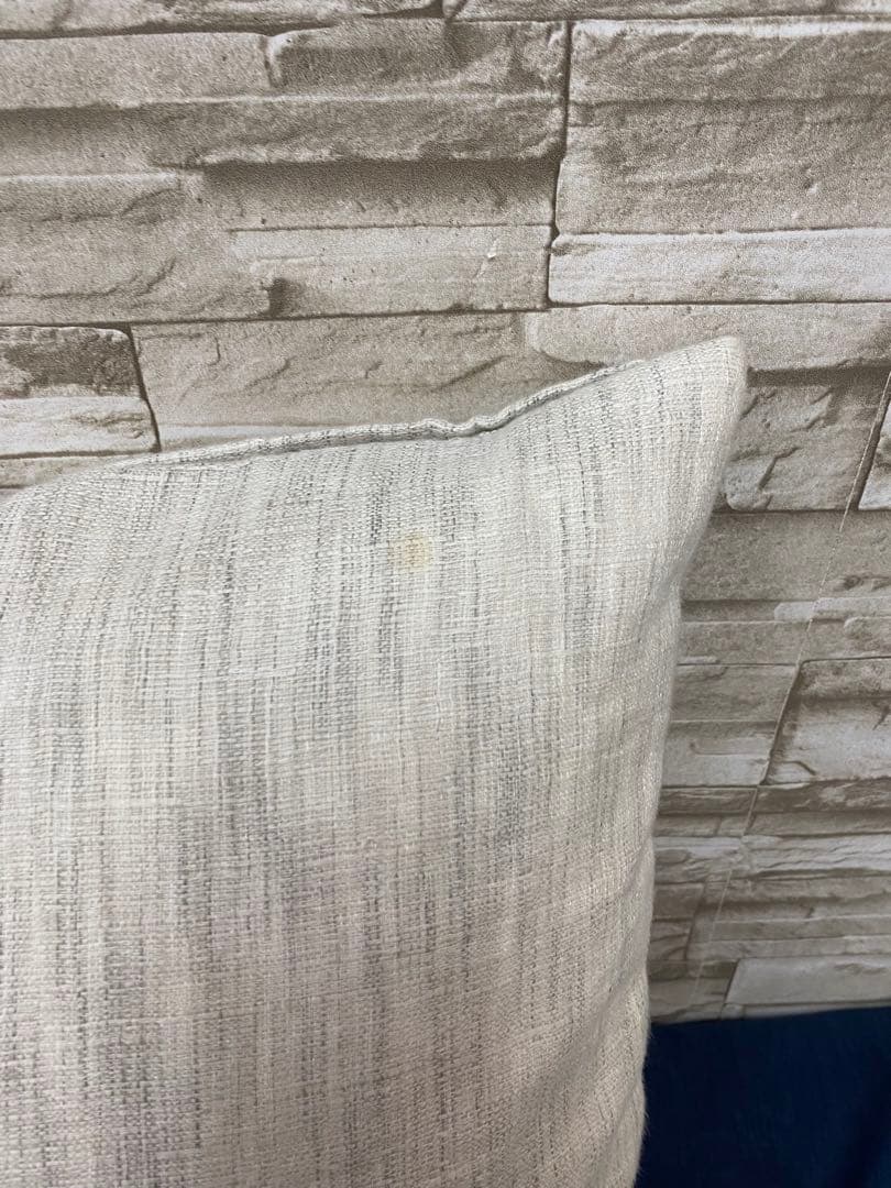 CASSINA カッシーナ　イクスシー　クッション　2個セット