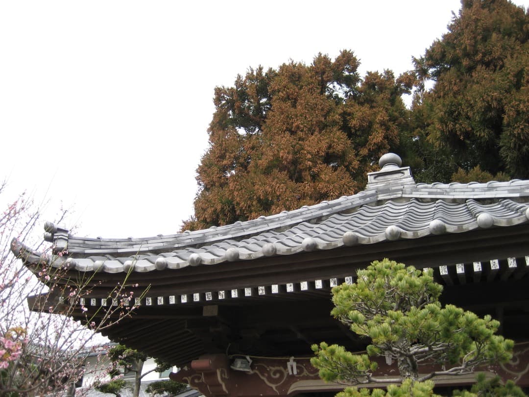 実写美⭕️美品【動作確認済】Canon　IXY　DIGITAL 70
