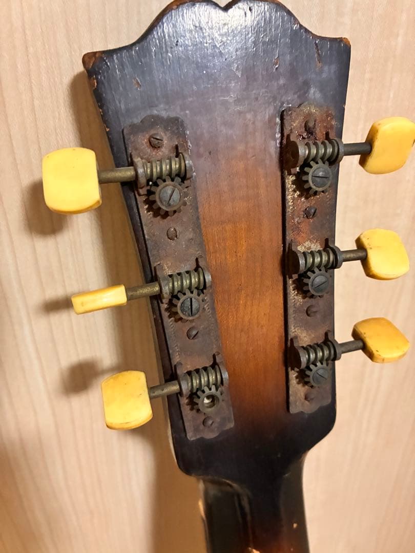 Raffaele Calace ギターNo.100 焼印ありラファエルカラーチェ