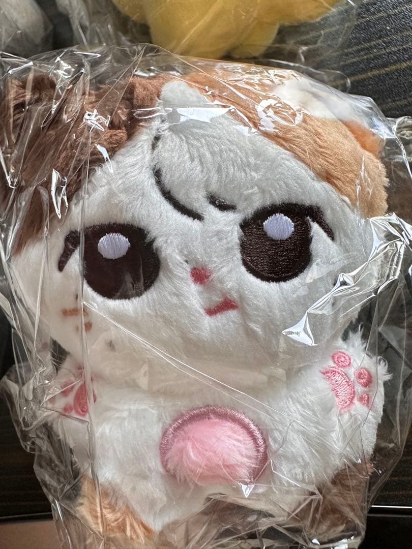 NMIXXリリー、へウォン、ソリュン、ベイ、ジウ 、ギュジン マスター6体セット