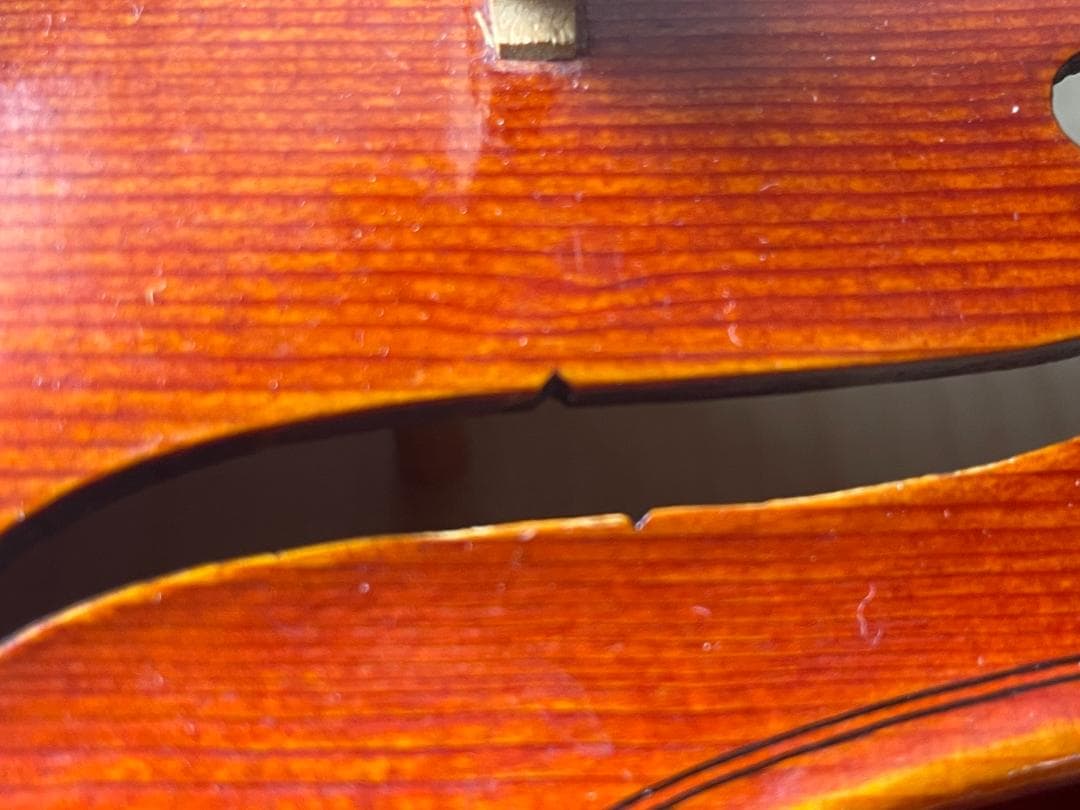 ピグマリウス DX-118 4/4サイズ 駒調整済み