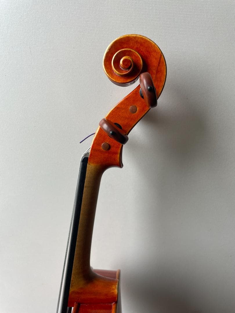 ピグマリウス DX-118 4/4サイズ 駒調整済み