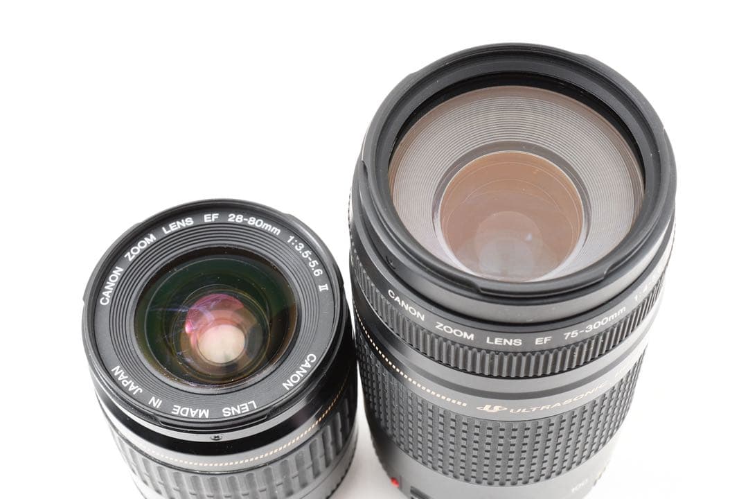 Wi-Fi/動画/Canon EOS 9000D標準&望遠&ダブルレンズセット