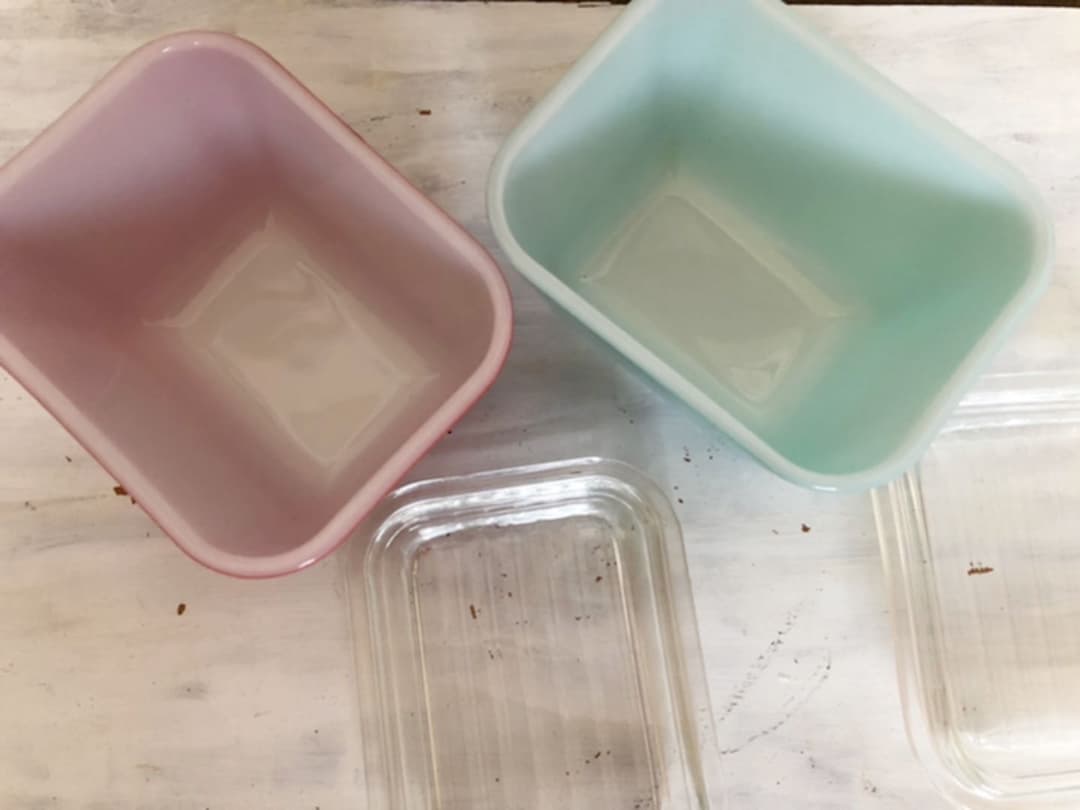 パイレックス レフケース S レッド、ブルー