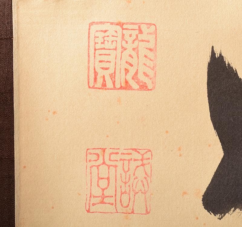 掛軸　前大徳藤井誡堂　一行書　「時雨洗如素」　共箱 C　R3702C