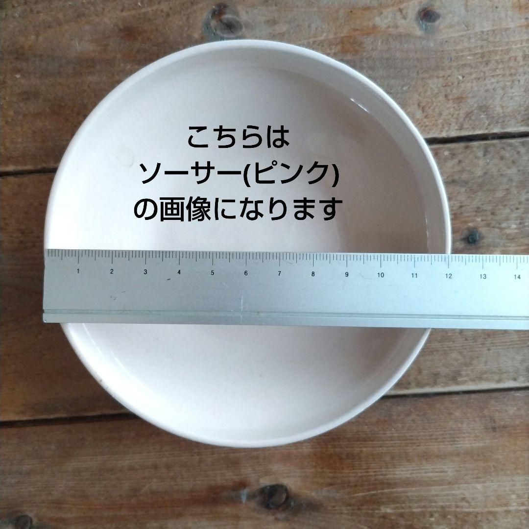 studio m‘ スタジオエム 限定コラボ/カップ&ソーサー/ペアセット