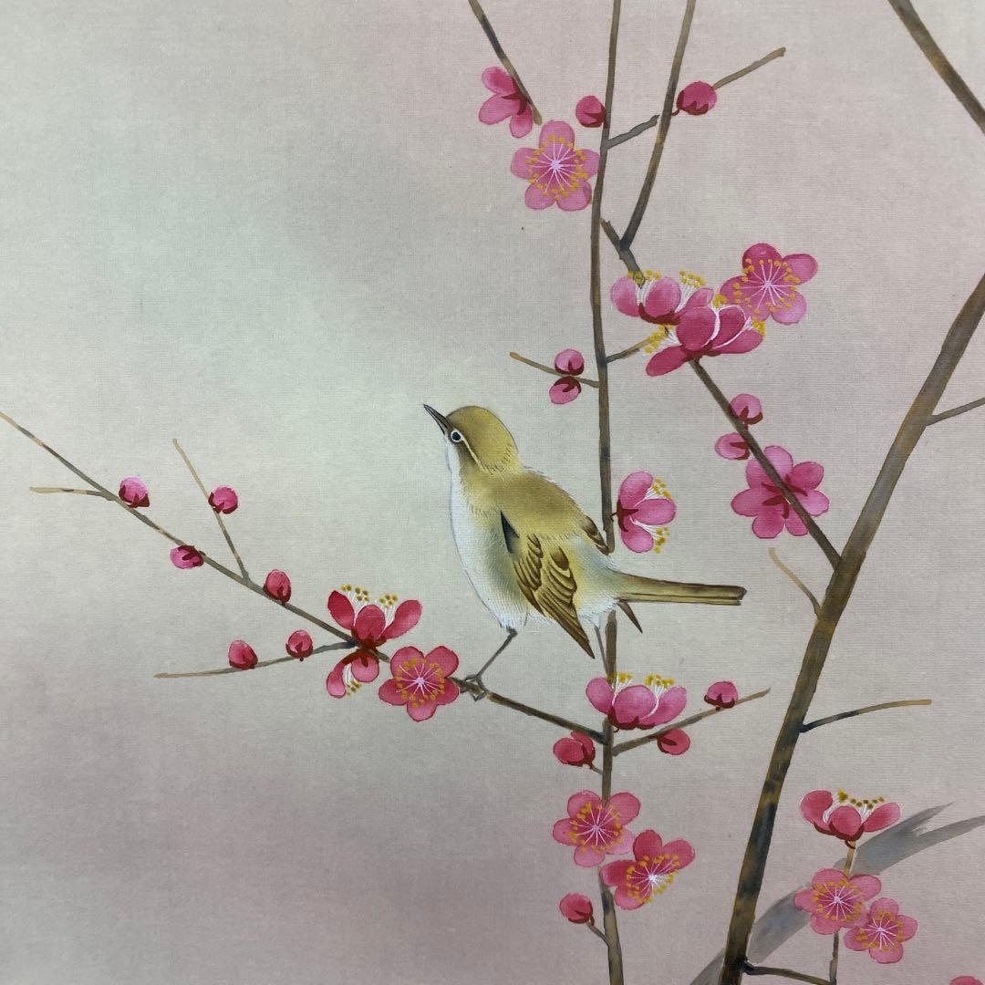 美品 掛け軸 稲葉桑文作 紅梅に小禽図 共箱 太巻き付 縁起物 花鳥